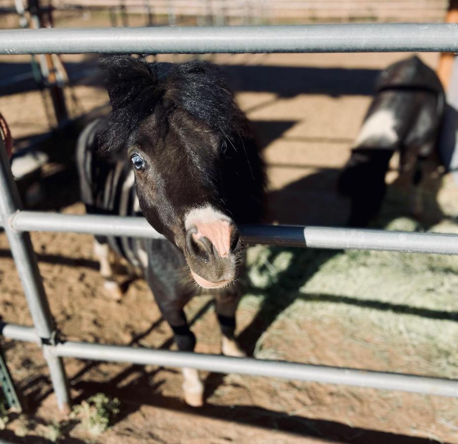 Rustic Farm Stay Temecula Esterno foto