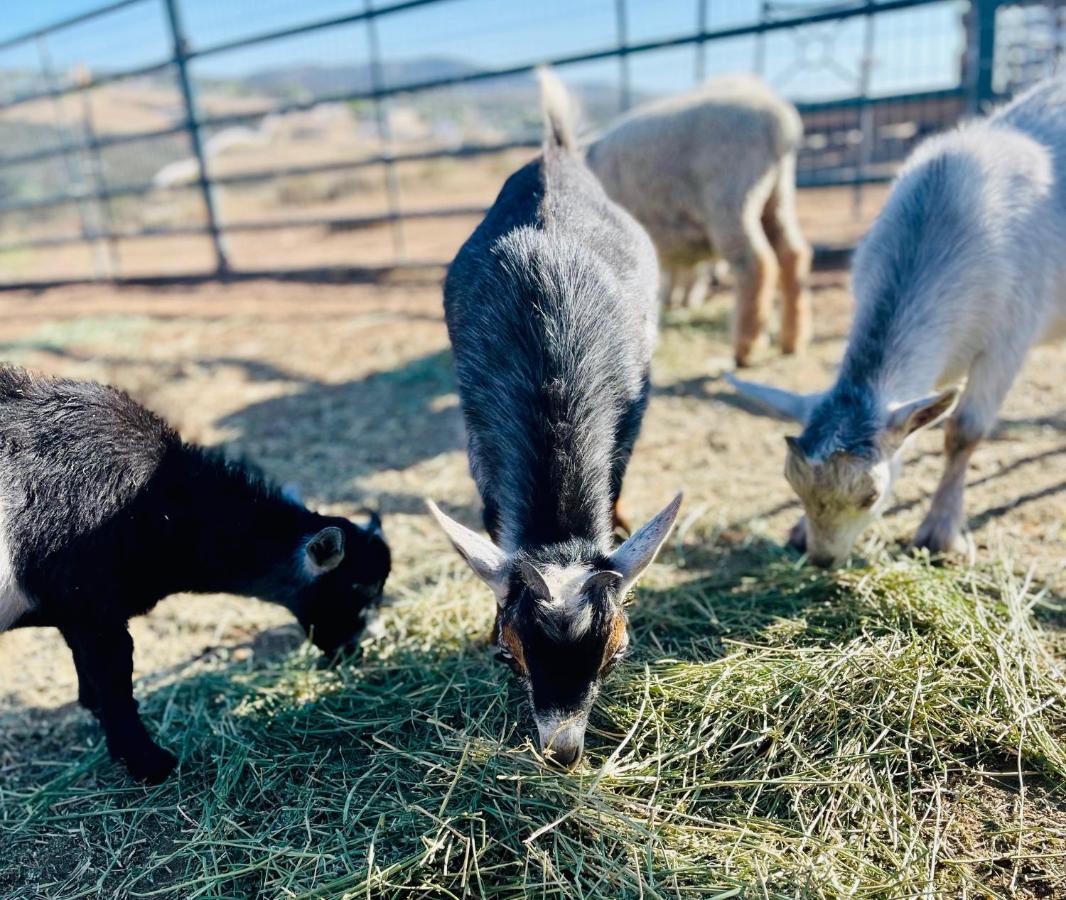 Rustic Farm Stay Temecula Esterno foto